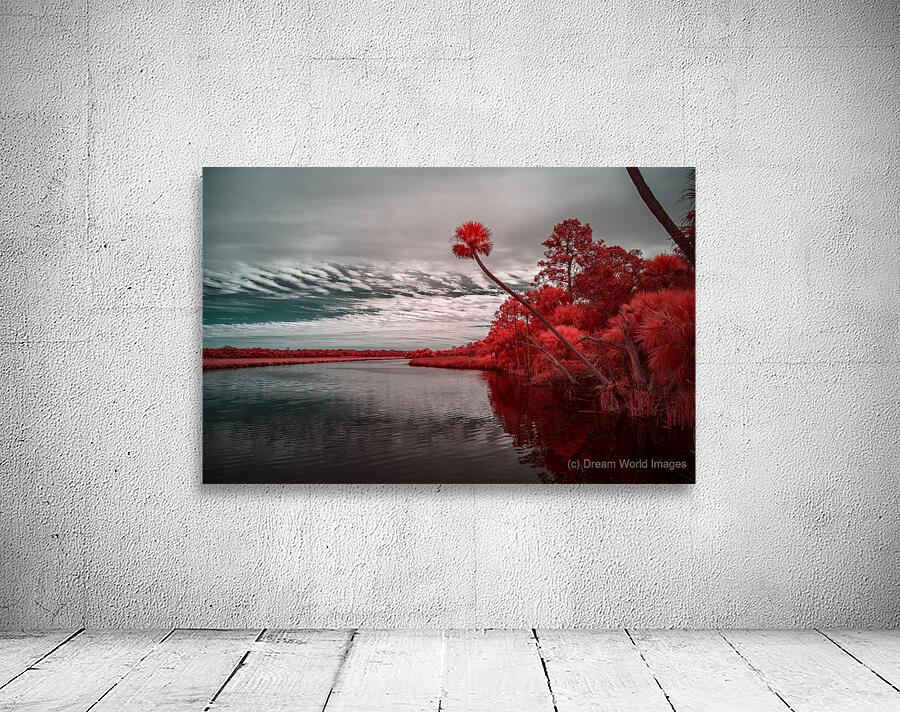 Exploring Bulow Plantation: A Romantic Stroll Reveals a Crimson  Wall Preview