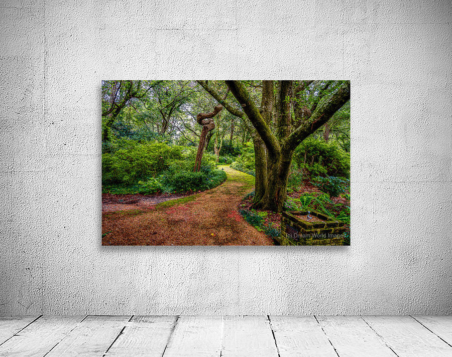 Exploring the Enchantment: A Journey through Elizabethan Gardens Wall Preview