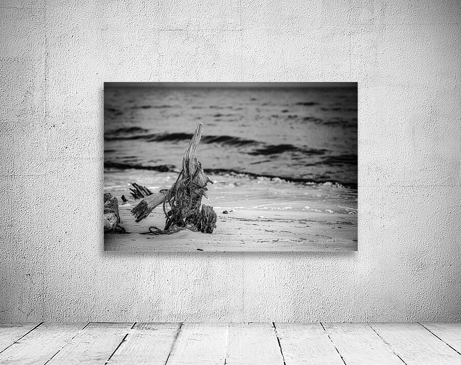 Driftwood Rhapsody on Serene Sands Wall Preview