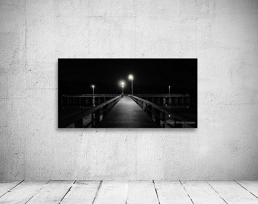 Night Fish Wall Preview