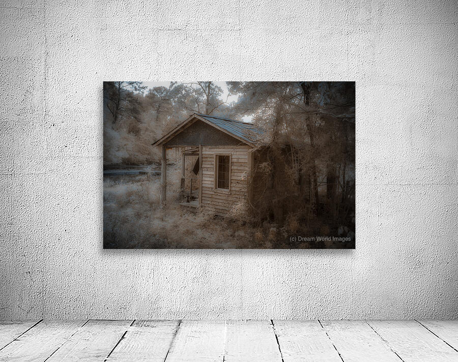 Louisiana Memories Wall Preview