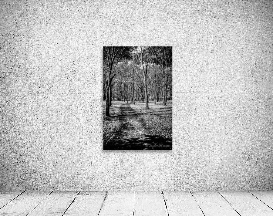 Solitary Trails: Eerie Path Near Knoxville Wall Preview