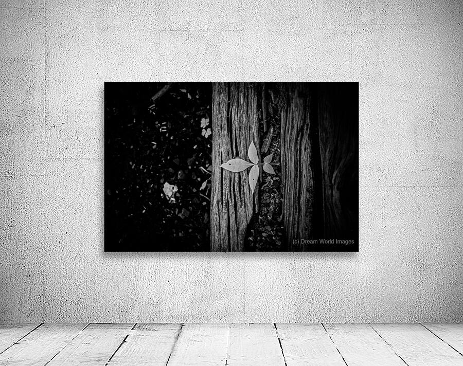 Step Above  Wall Preview