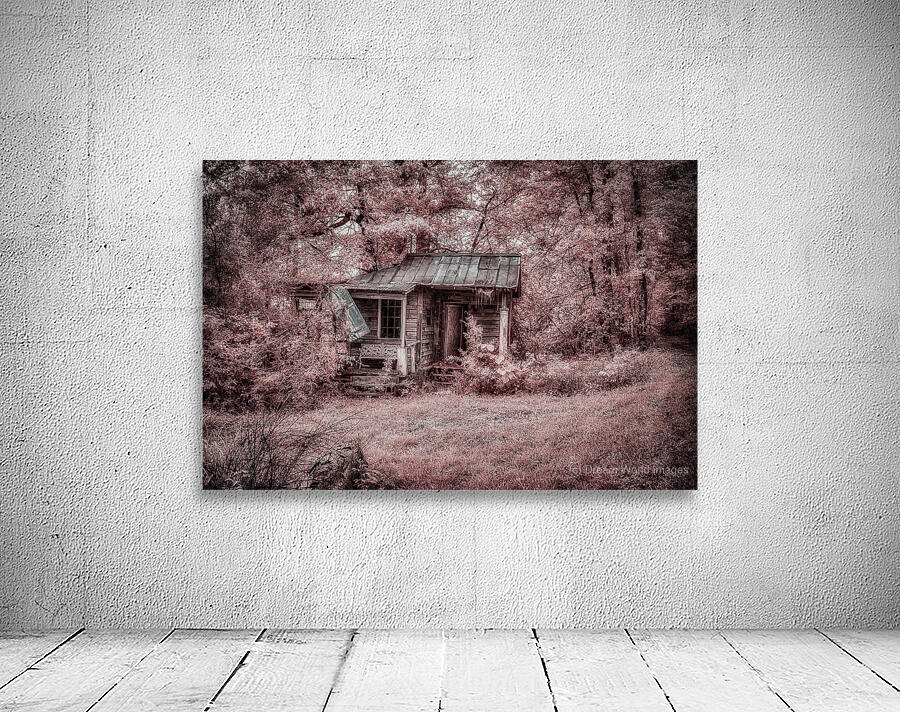 Louisiana Fishing Shack 3 Wall Preview