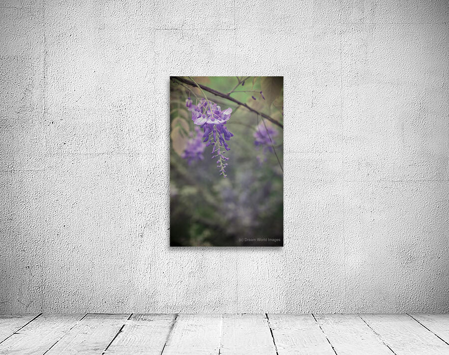 Wisterias Whisper Wall Preview