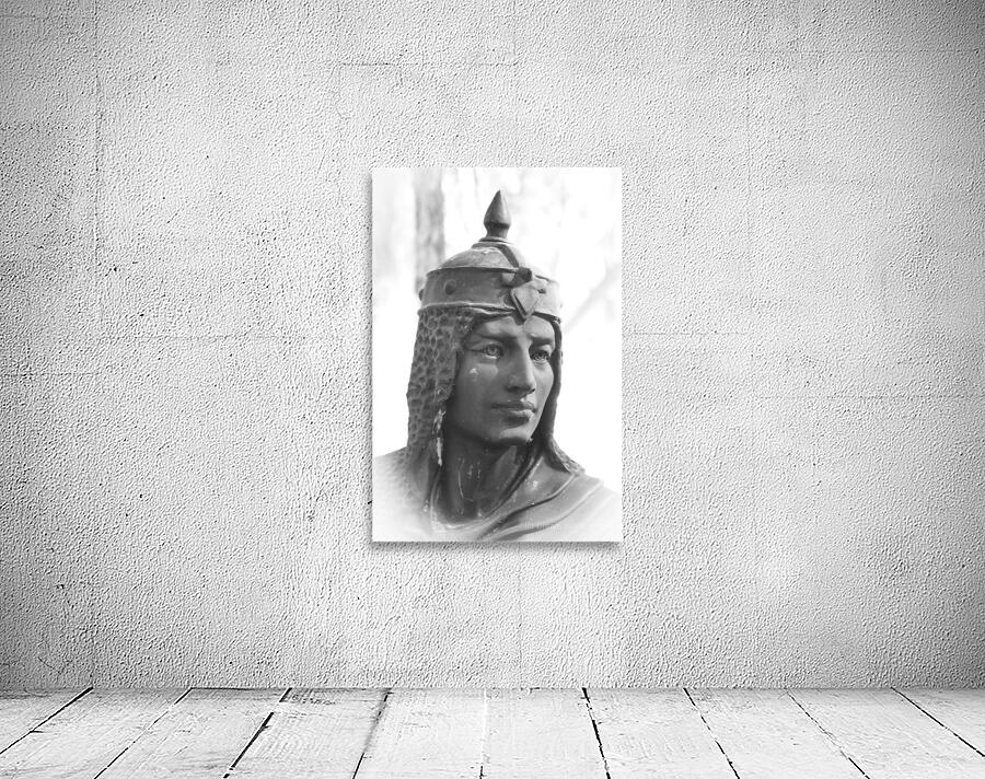 Southern Sentinel Wall Preview