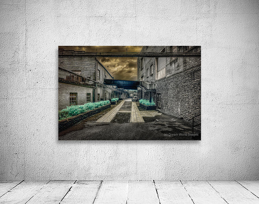 Echoes of History: Uncovering Lynchburgs Historic Bidding Drive  Wall Preview