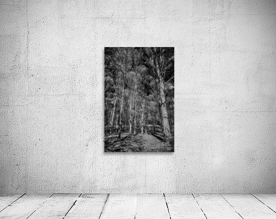 Tall Dark Symphony: A Winters Tale in Infrared Black and White Wall Preview