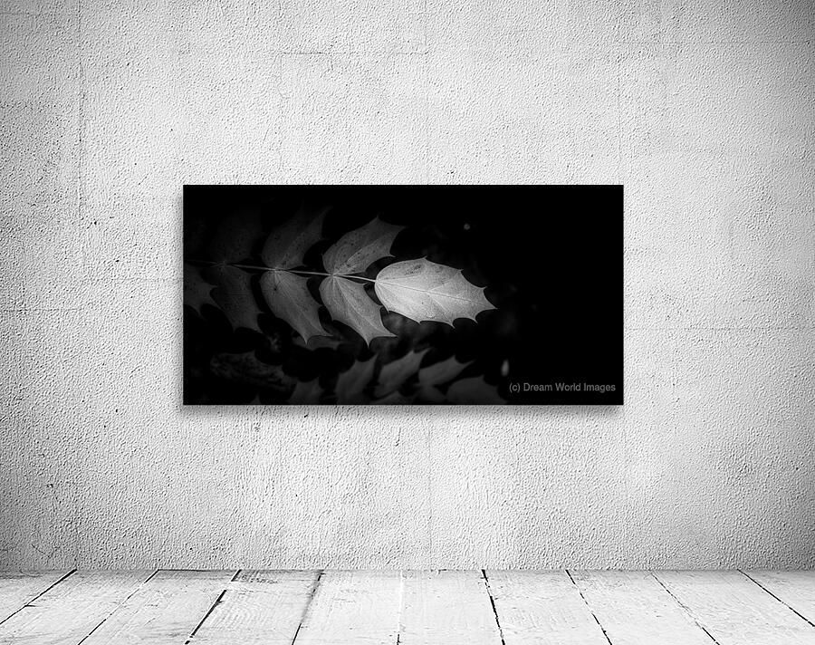 Spotlight on Natures Simplistic Beauty Wall Preview