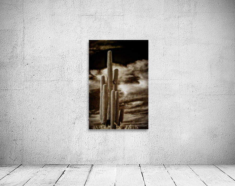 Majesty in Sepia Skies Wall Preview