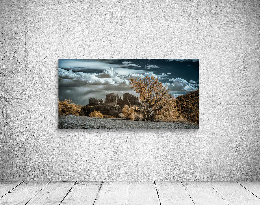 Solitary Desert Dreams Wall Preview