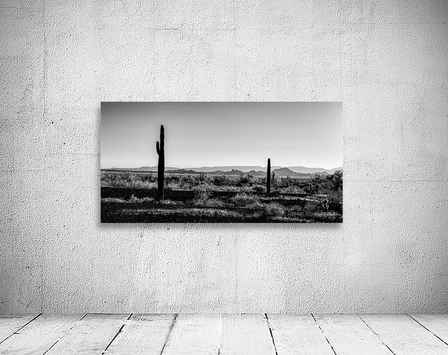 Vast Tranquility Amidst the Sand Wall Preview