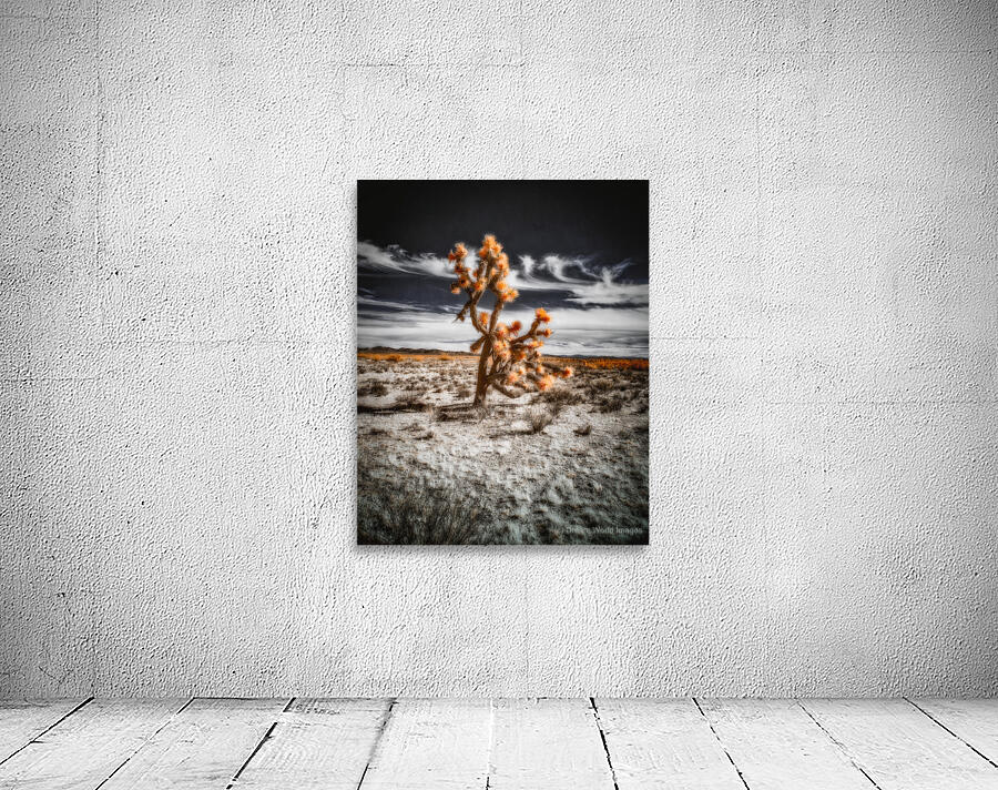 Arboreal Blaze in Barren Harmony Wall Preview