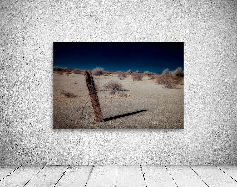 Bareness Framed in Blue Contrasts Wall Preview