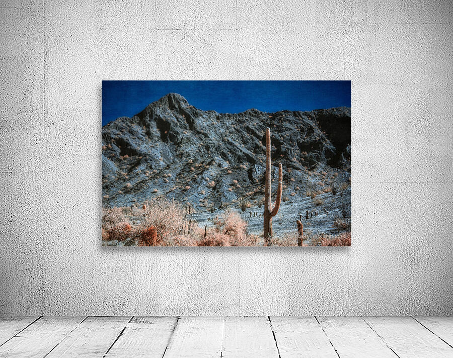 Rocky Backdrop to a Prickly Presence Wall Preview