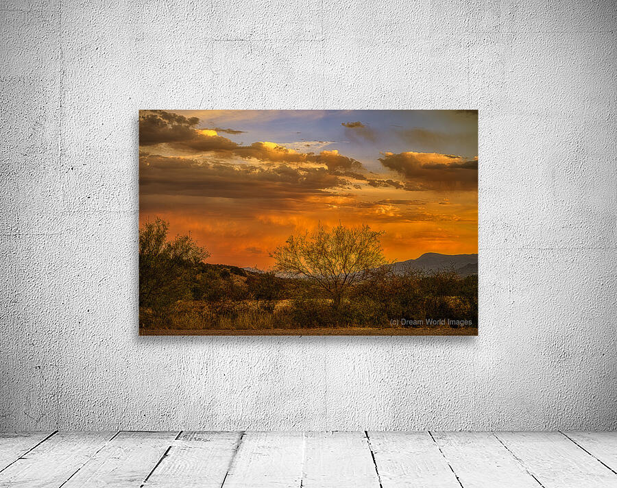 Burning Sky Over Silent Shadows Wall Preview