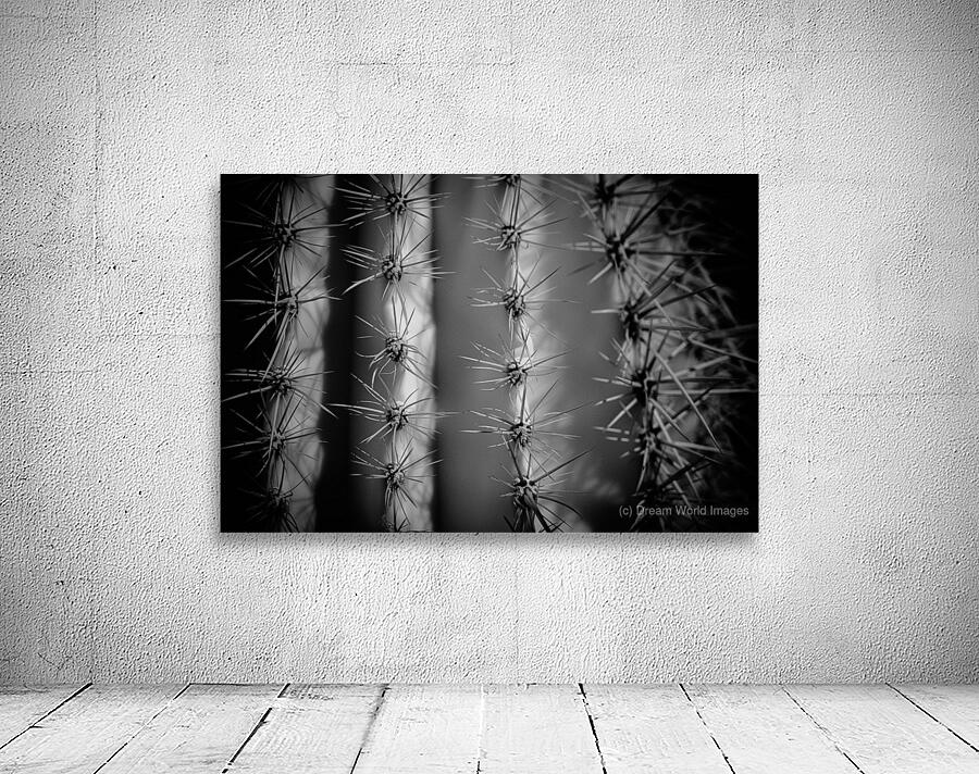 A Tapestry of Thorns Wall Preview