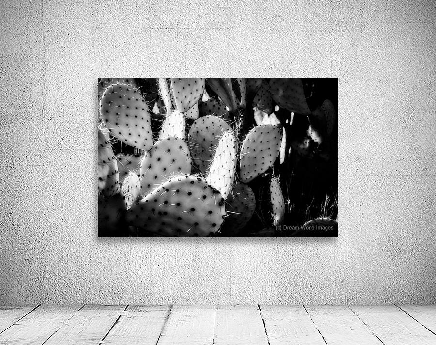 Textures of the Desert Wall Preview