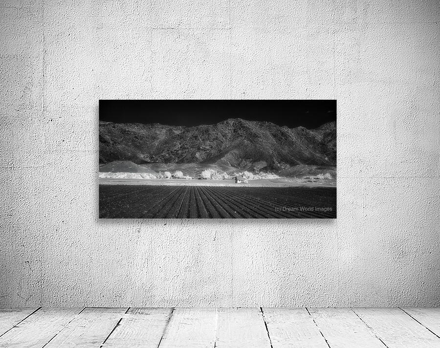 Fields of Infinite Solitude Wall Preview