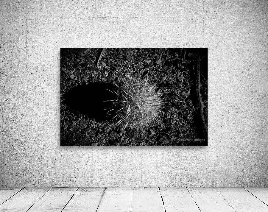 Prickly Silhouette Wall Preview