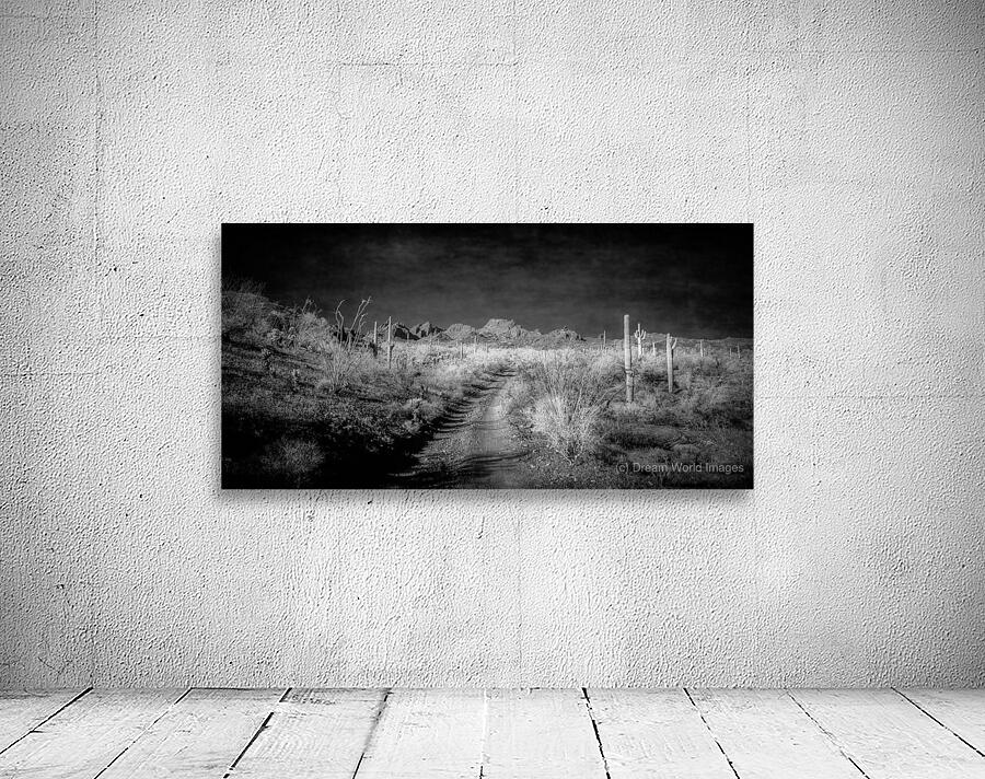 Echoes of Silence Across the Horizon Wall Preview