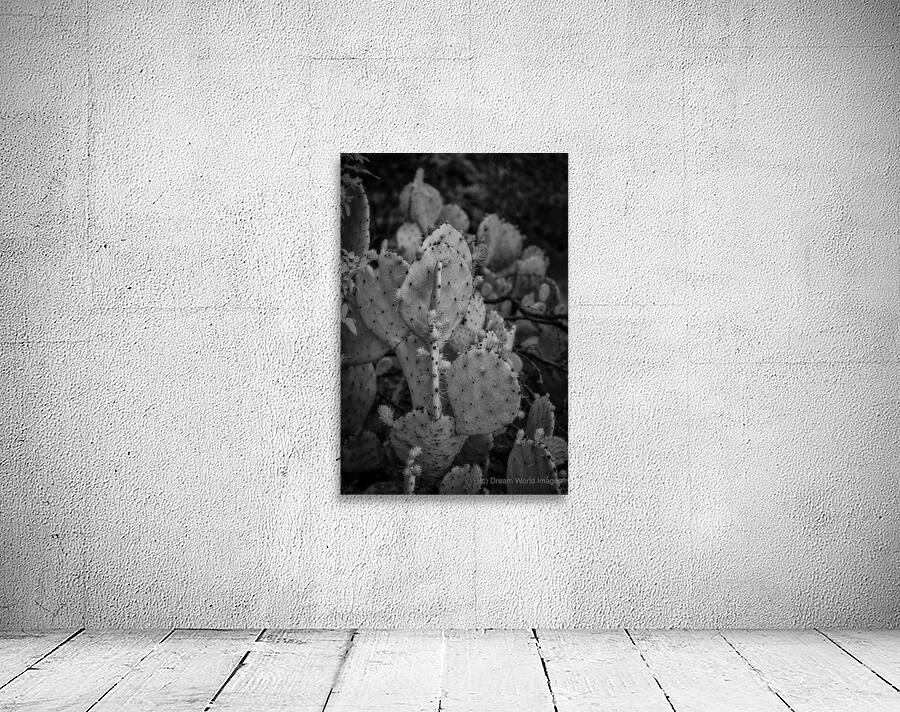 Textured Prickles Wall Preview