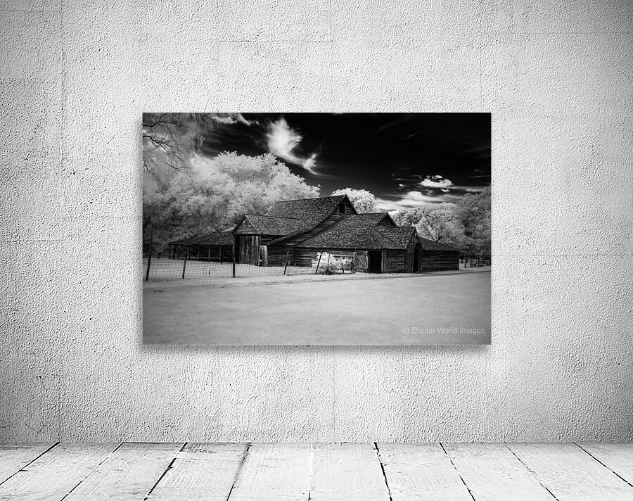 Tranquility in a Barn Tale Wall Preview