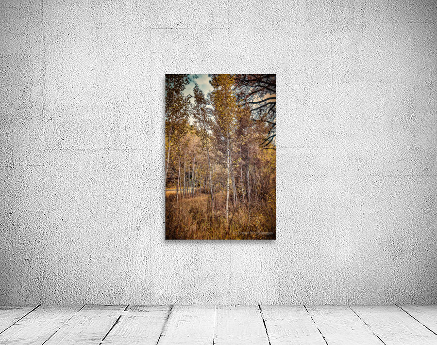 Serenade of Fall Foliage Wall Preview