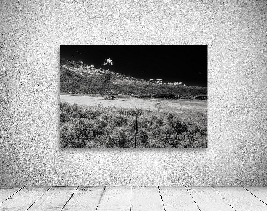 Realm of Whispering Horizons Wall Preview