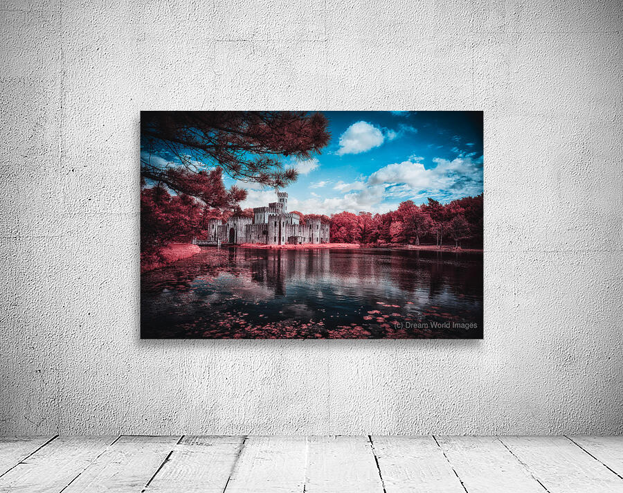 Castle Reflections Under a Texan Sky Wall Preview