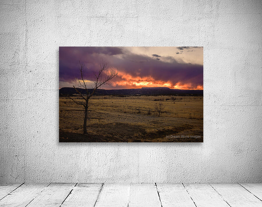 Heavens Blaze: Sunset Symphony in Cold Beer New Mexico Wall Preview