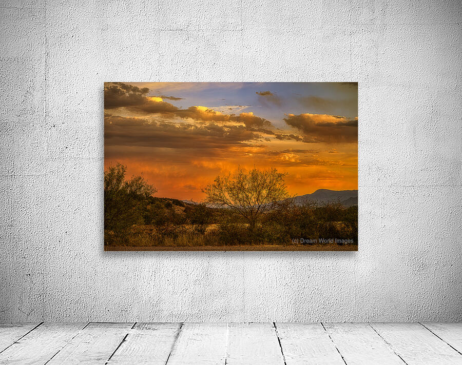 Burning Sky Over Silent Shadows Wall Preview