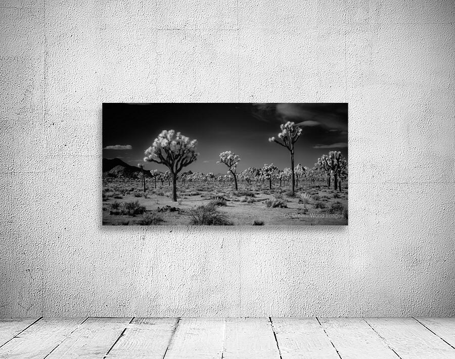 Ghostly Terrain Under Infinite Sky Wall Preview