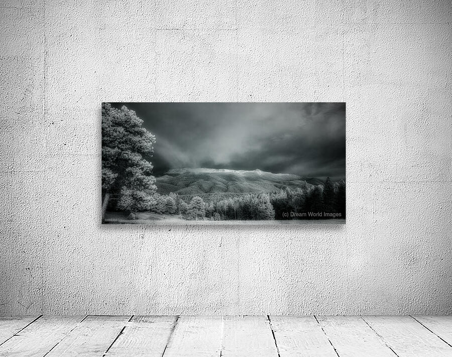 Muellers Mystique Wall Preview