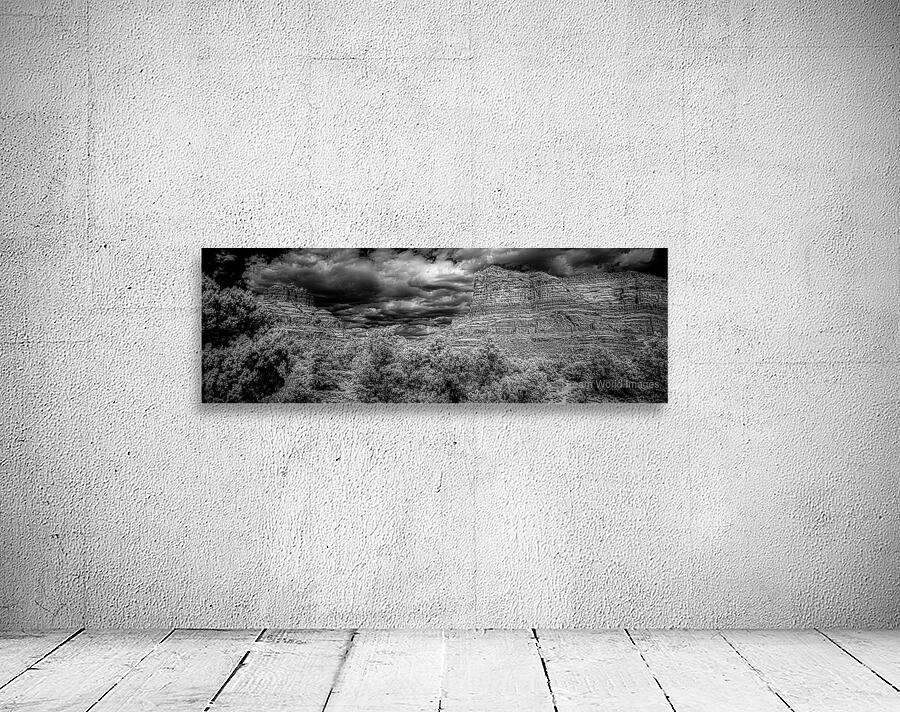 Desert Majesties in Monochrome Wall Preview