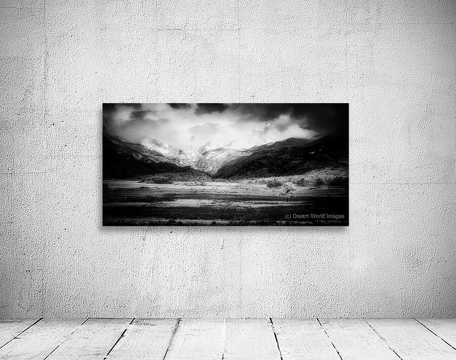 Mountains Embrace: Lone Valley Tree Wall Preview