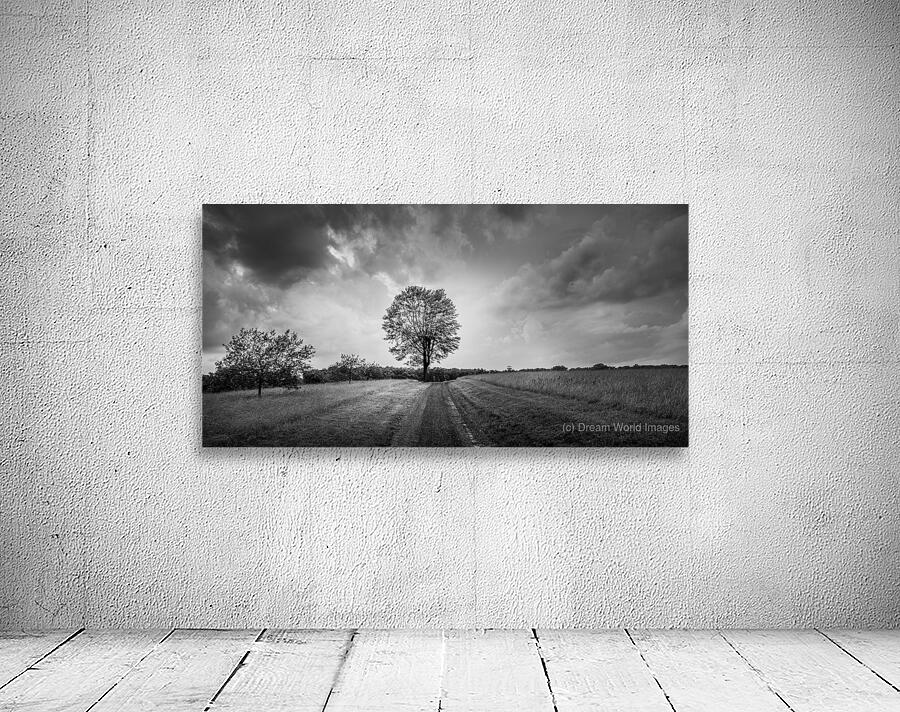 Stormy Tree Wall Preview