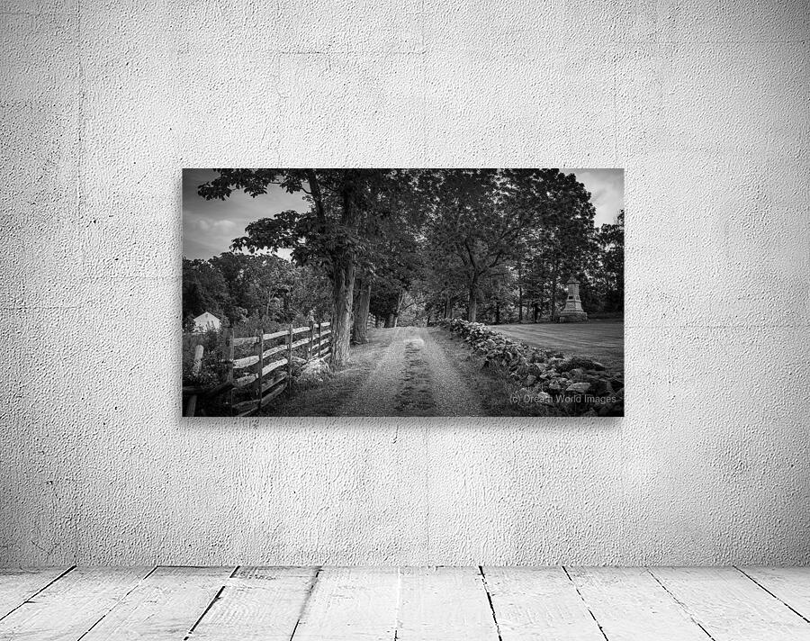 Farm Lane Wall Preview