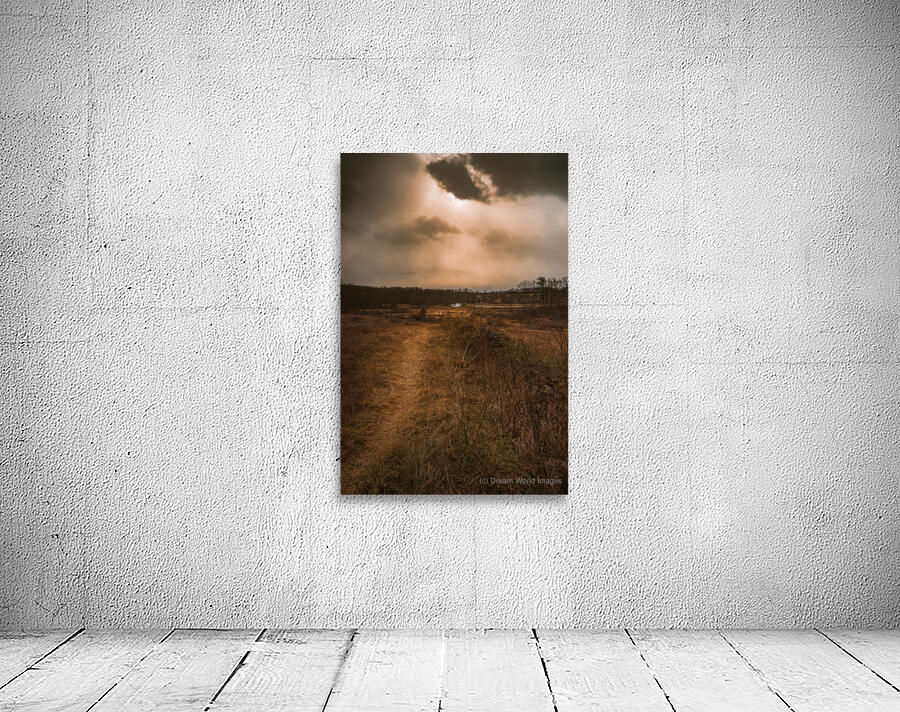 Twilights Promise Wall Preview