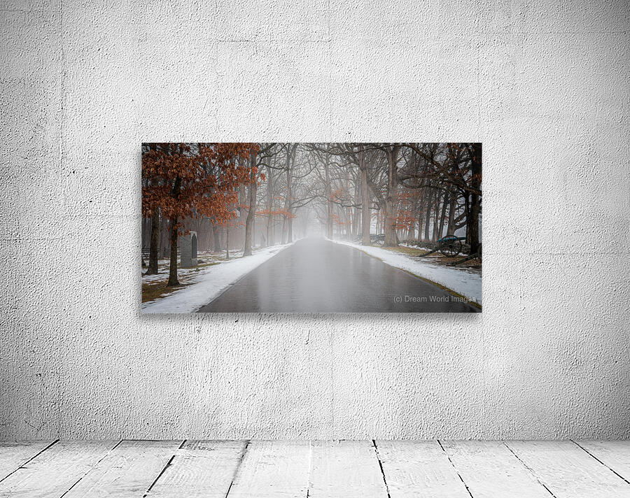 Winters Passage: Confederate Avenue Wall Preview