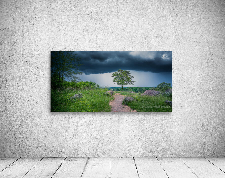 Solitude and Serenity: A Hike through Little Round Tops Enchante Wall Preview