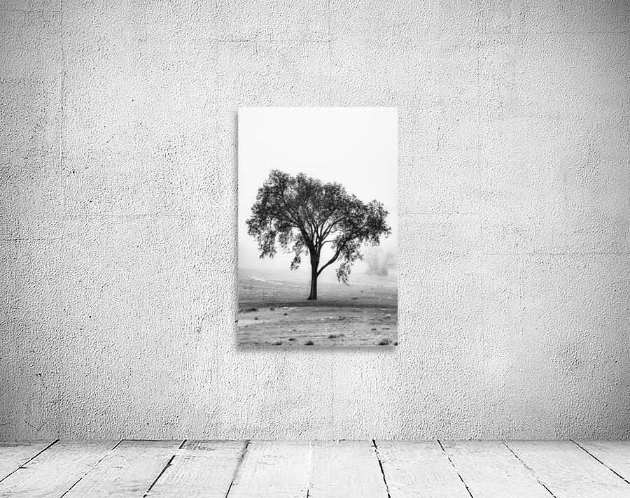 Stark Lonely Wall Preview