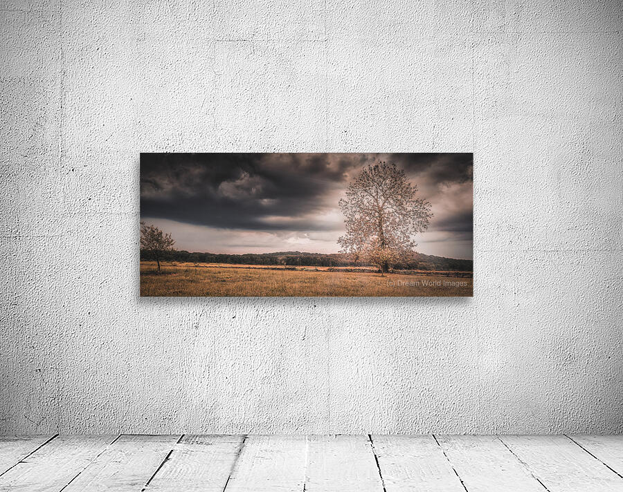 Lone Tree Storm Wall Preview