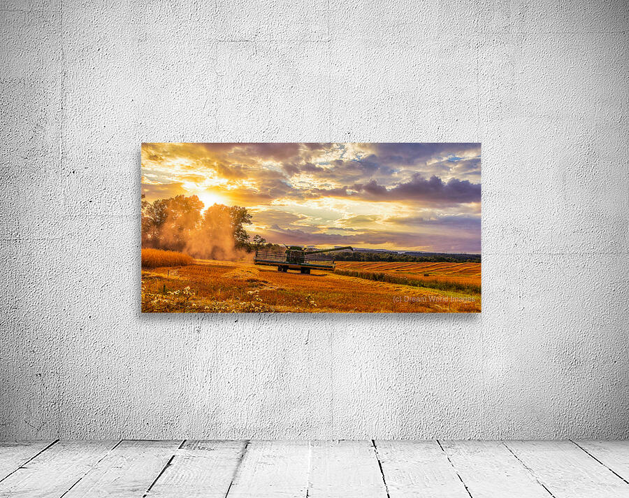 Harvest Gold Wall Preview