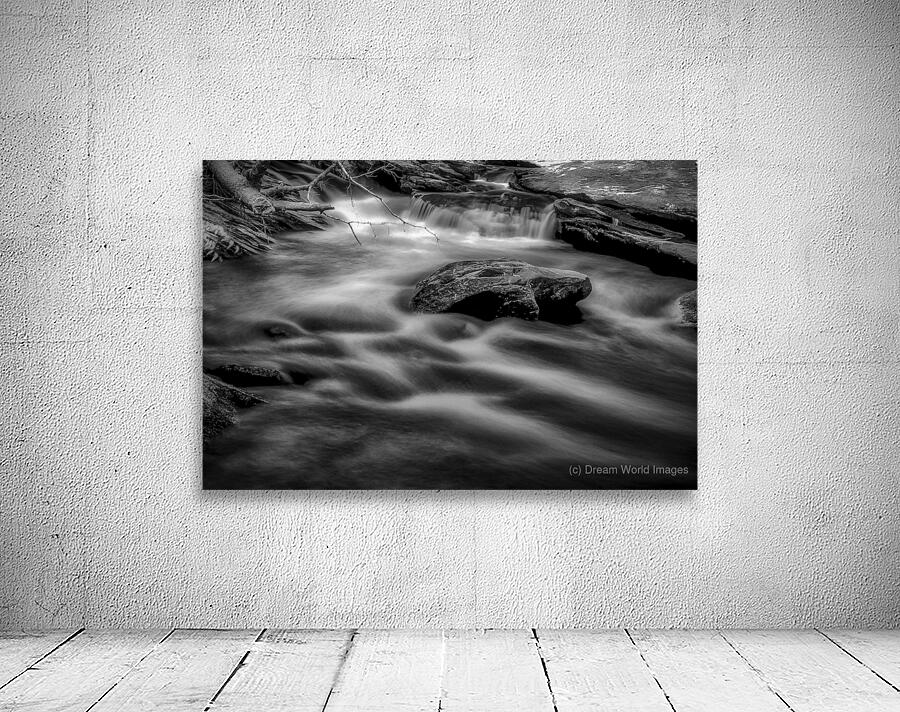 Flowing Elegance Wall Preview