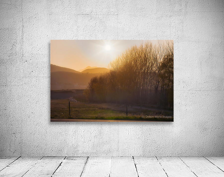 Natures Amber Hour Wall Preview