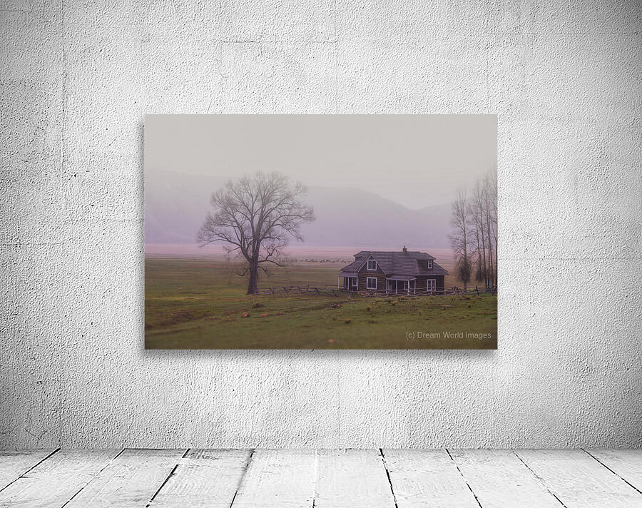 Millers Misty Morning Wall Preview