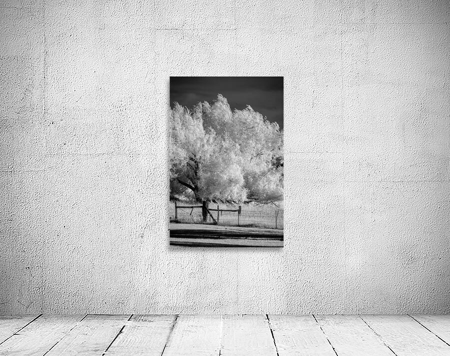 Luminous Guardians   Infrared Sentinels Wall Preview