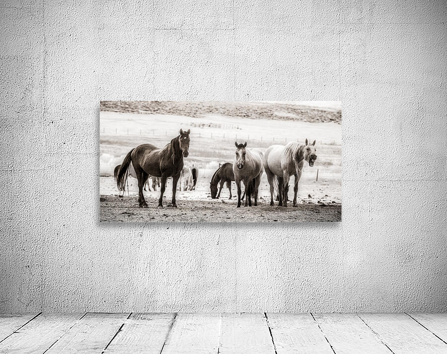 Wild Bonds   Wyoming Fellowship Wall Preview