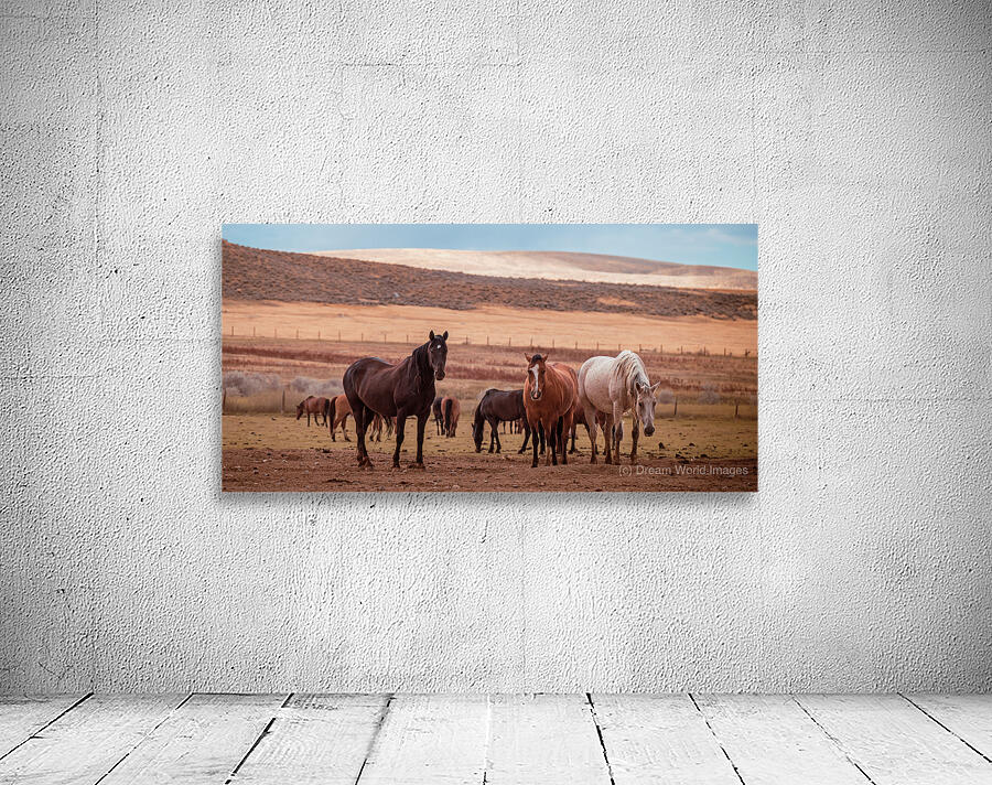 Wild Freedom   Wind River Guardians Wall Preview